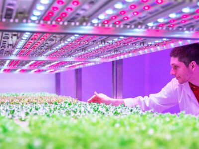 What is LED vertical farming